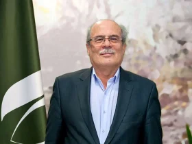 نظام صنفی
