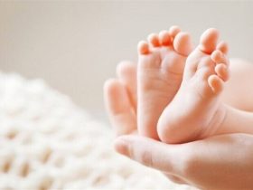 جراحی مغز جنین