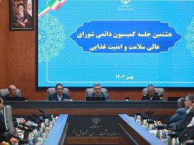 کمیسیون دائمی شورای عالی سلامت