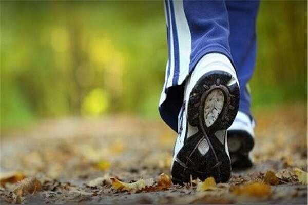 فعالیت بدنی