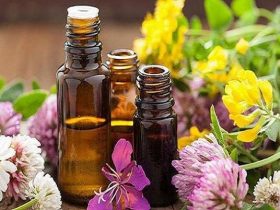 روغن های گیاهی