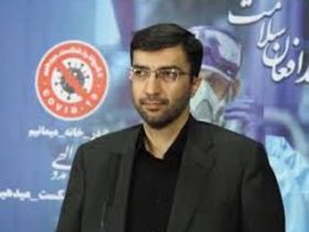 سید حسین صفوی