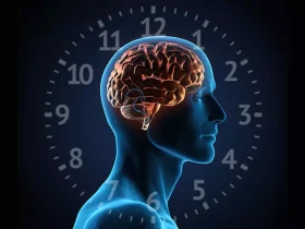 ساعت بیولوژیک بدن